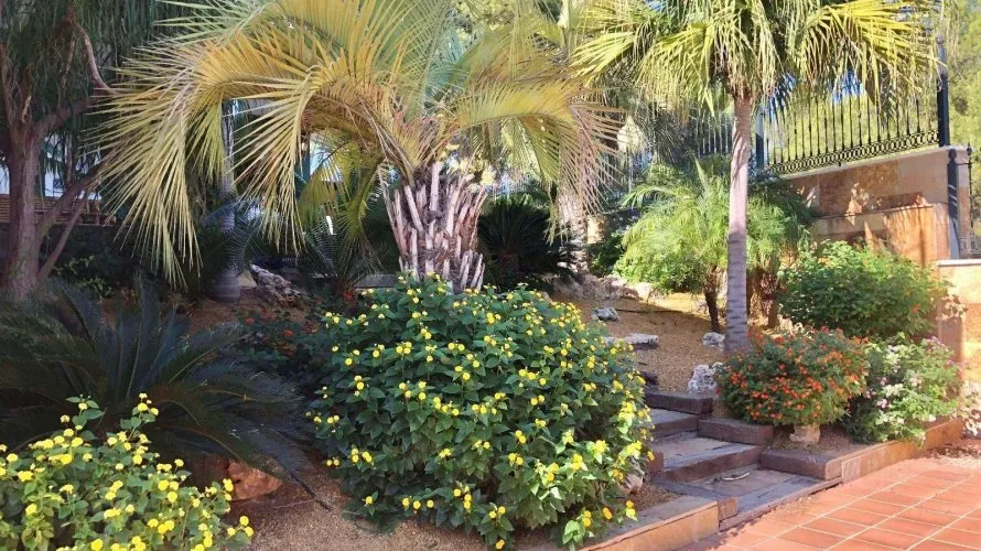 Villa de 6 dormitorios en El Palmar, España No. 746 № 20