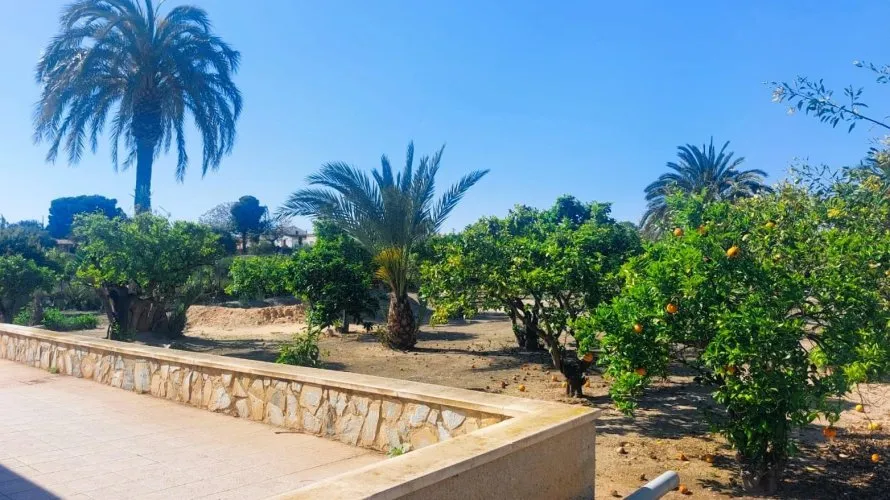Сasa de 5 dormitorios en La Marina, España No. 737 № 9