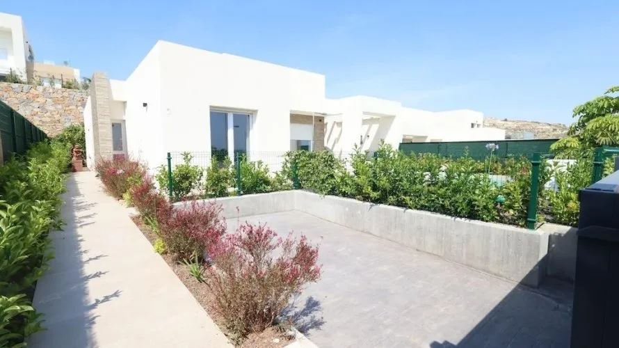 Villa de 3 dormitorios en Algorfa, España No. 765 № 17