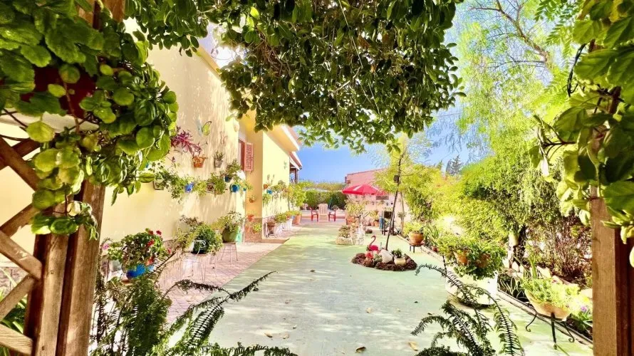 Villa de 3 dormitorios en Daya Vieja, España No. 856 № 9