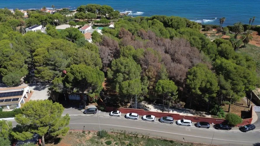 Villa de 330m² en Calasparra, España No. 891 № 27