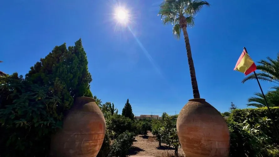 Villa de 4 chambres à Almoradi, Espagne No. 882 № 10