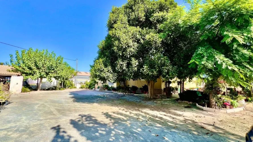 Villa de 3 chambres à Daya Vieja, Espagne No. 856 № 21