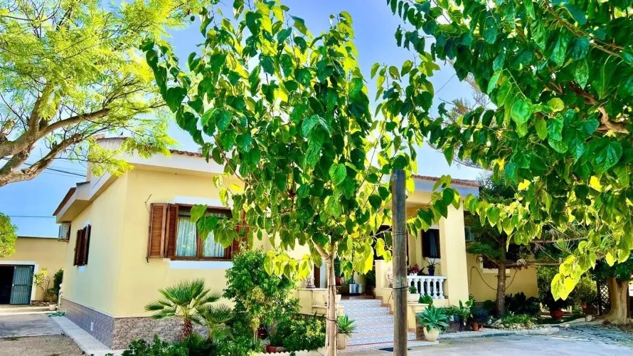Villa de 3 chambres à Daya Vieja, Espagne No. 856 № 24