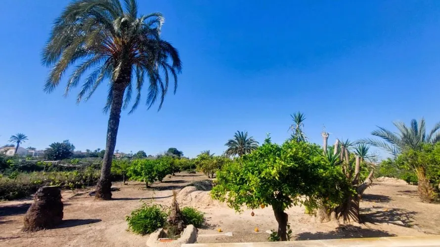 5 bedrooms house for sale, La Marina, Spain No. 737 № 8