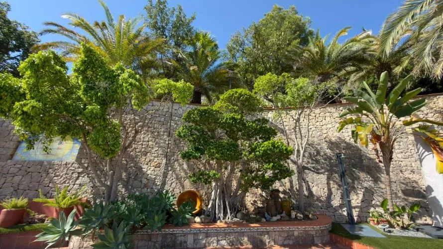 4 bedrooms villa for sale, La Pedrera, Spain No. 768 № 21
